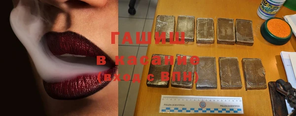 стаф Пестово