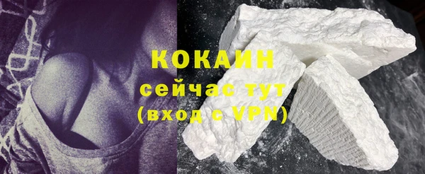 винт Абаза