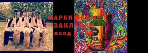 винт Абаза
