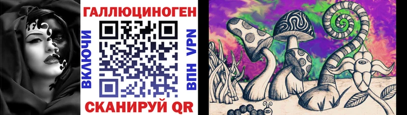 где купить наркоту  Кумертау  Галлюциногенные грибы Psilocybe 