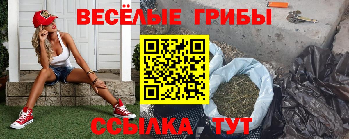 купить  сайты  Псилоцибиновые грибы Cubensis  Кумертау  Вход с VPN  Псилоцибиновые грибы Psilocybe 
