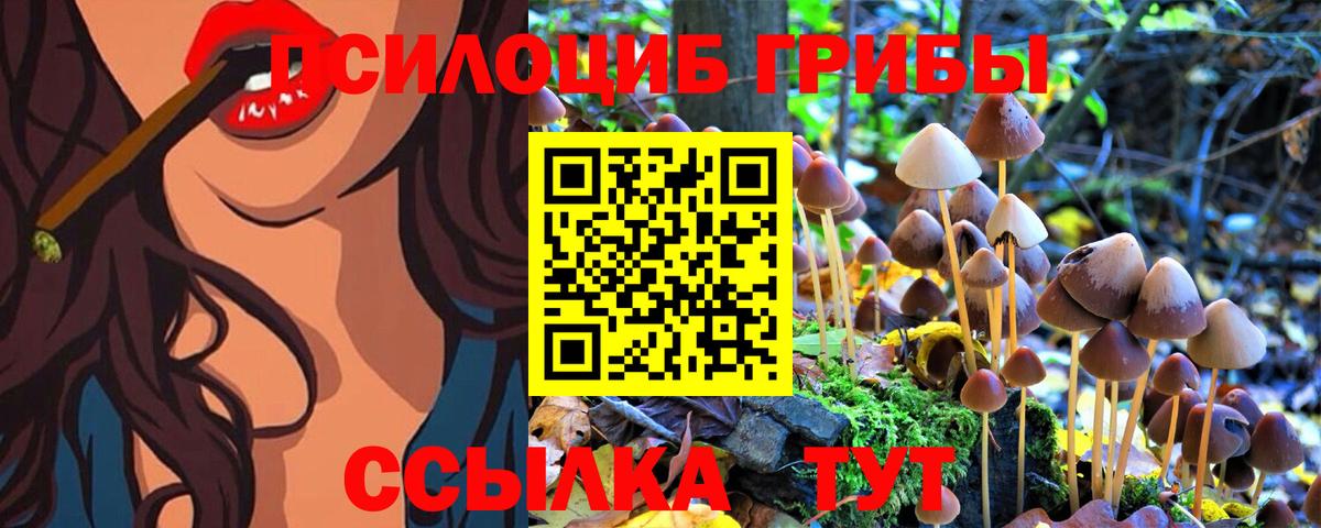 Псилоцибиновые грибы Magic Shrooms Кумертау